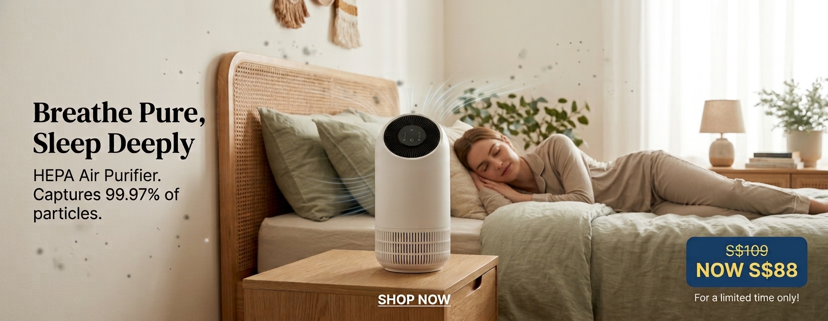 HEPA Air Purifier Banner 1920 x 750px
